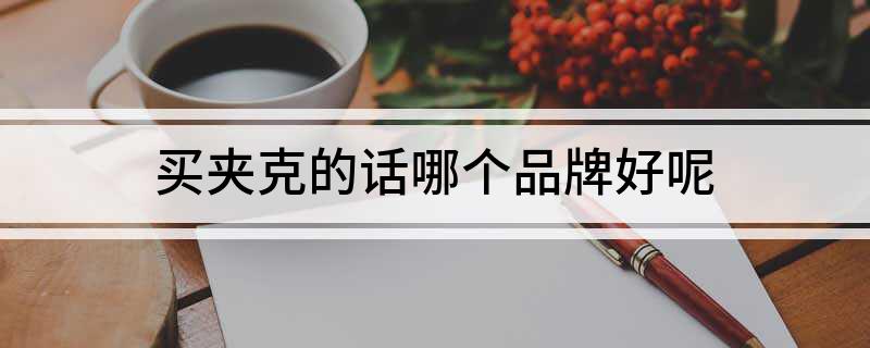 AG真人官网买夹克的话哪个品牌好呢(图1)