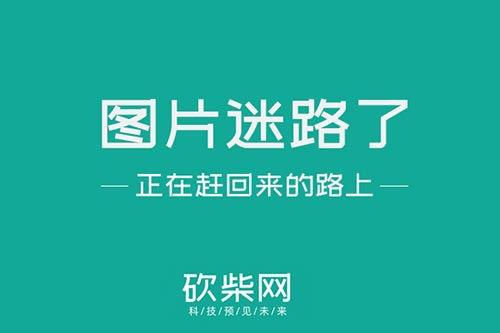 AG真人官网大佬办公室图鉴：发财树最受欢迎 墙上字画见个性(图1)