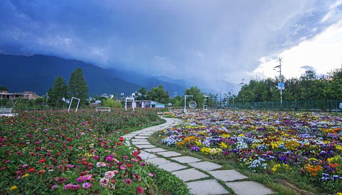 大理春节多少度 大理春节天气是几度(图2)