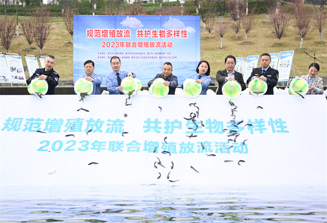 AG真人平台深入学习贯彻习法治思想 高质效履行法律监督职责基层行丨重庆：创立长江(图1)